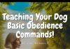 Teaching Your Dog Basic Obedience Commands version 1.0.0